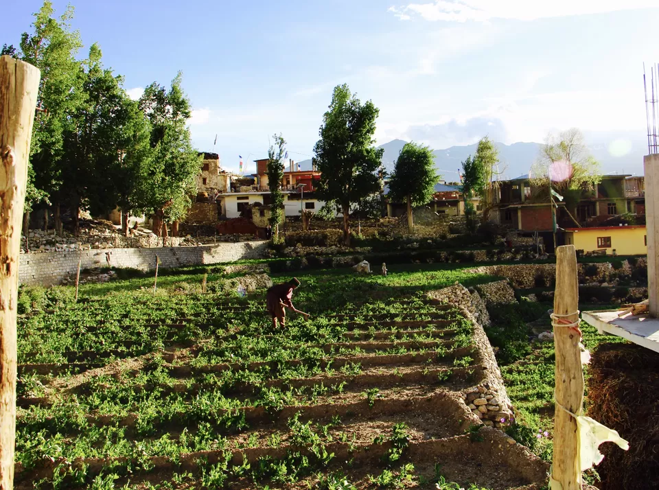 Photo of Nako, Himachal Pradesh, India by Vineet Kumar