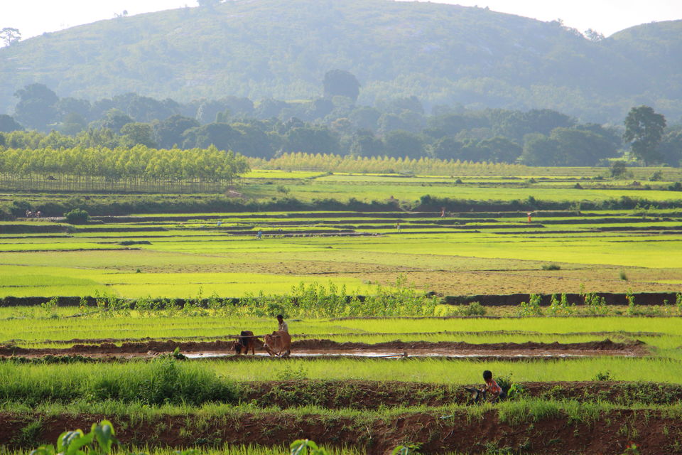 Photo of Rayagada, Odisha, India by Vineet Kumar