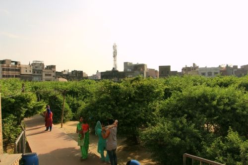 Photo of Vrindavan and Mathura - Lord Krishna's playground 5/9 by Vineet Kumar