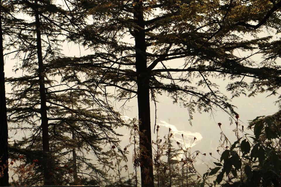 Photo of Naggar - capital of Kullu Kings in Himachal Pradesh 18/20 by Vineet Kumar