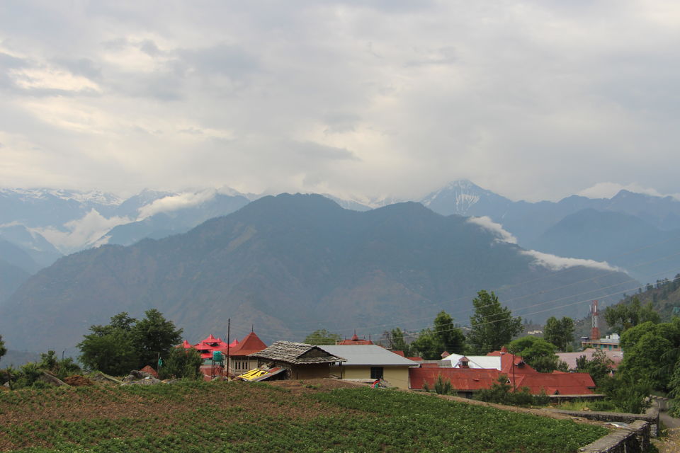 Photo of 15-days of venturing into trans-Himalayan Kinnaur and Spiti region of Himachal Pradesh 2/4 by Vineet Kumar