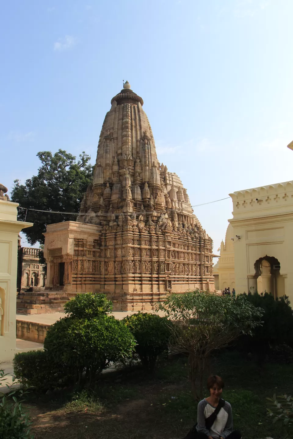 Photo of Panna Tiger Reserve, Chapner, Madhya Pradesh, India by Vineet Kumar