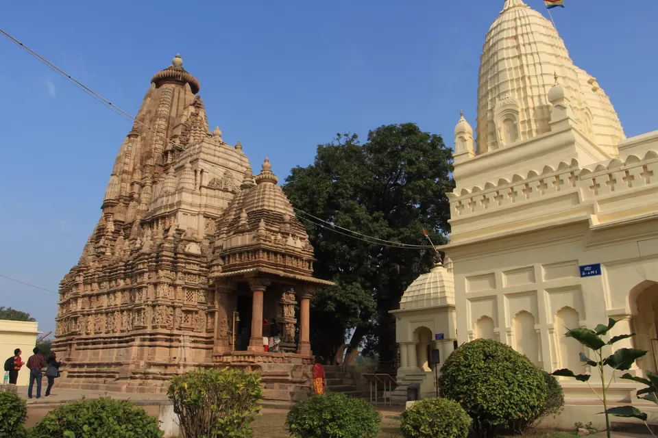 Photo of Ken Ghariyal Abhyaranya, Singro, Madhya Pradesh, India by Vineet Kumar