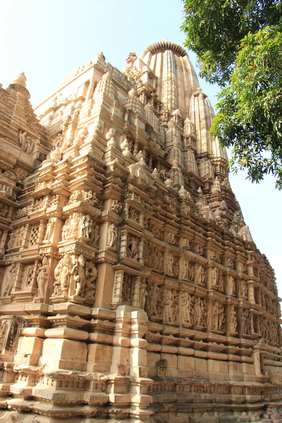 Photo of Panna Tiger Reserve, Chapner, Madhya Pradesh, India by Vineet Kumar