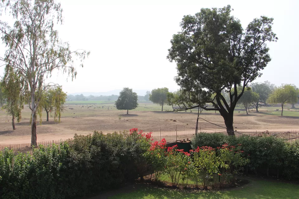 Photo of Panna Tiger Reserve, Chapner, Madhya Pradesh, India by Vineet Kumar