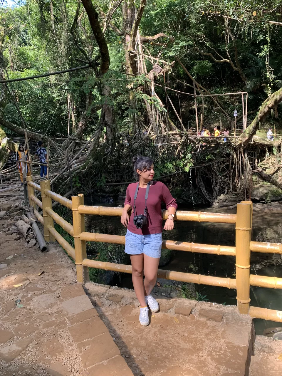 Photo of Living Root Bridge, Mawlynnong, Surok Mawlynnong, Mawlynnong, Meghalaya, India by The Benjabi Affair