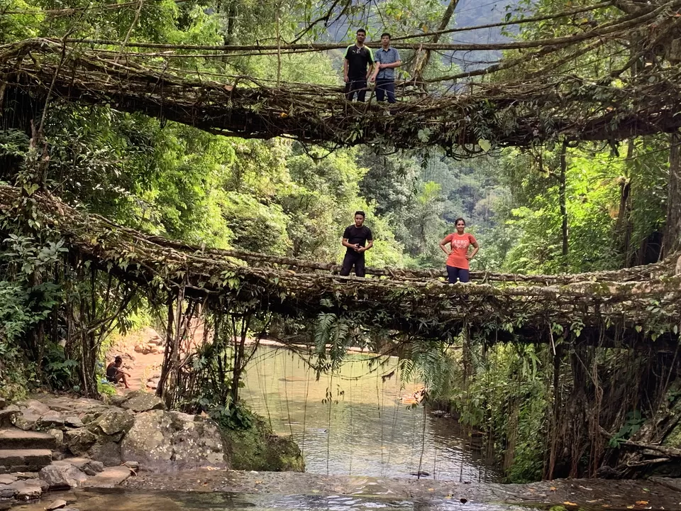 Photo of Double Decker Living Root Bridge, Cherrapunji, Meghalaya, India by The Benjabi Affair