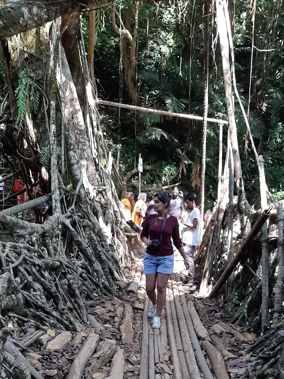 Photo of Living Root Bridge, Mawlynnong, Surok Mawlynnong, Mawlynnong, Meghalaya, India by The Benjabi Affair