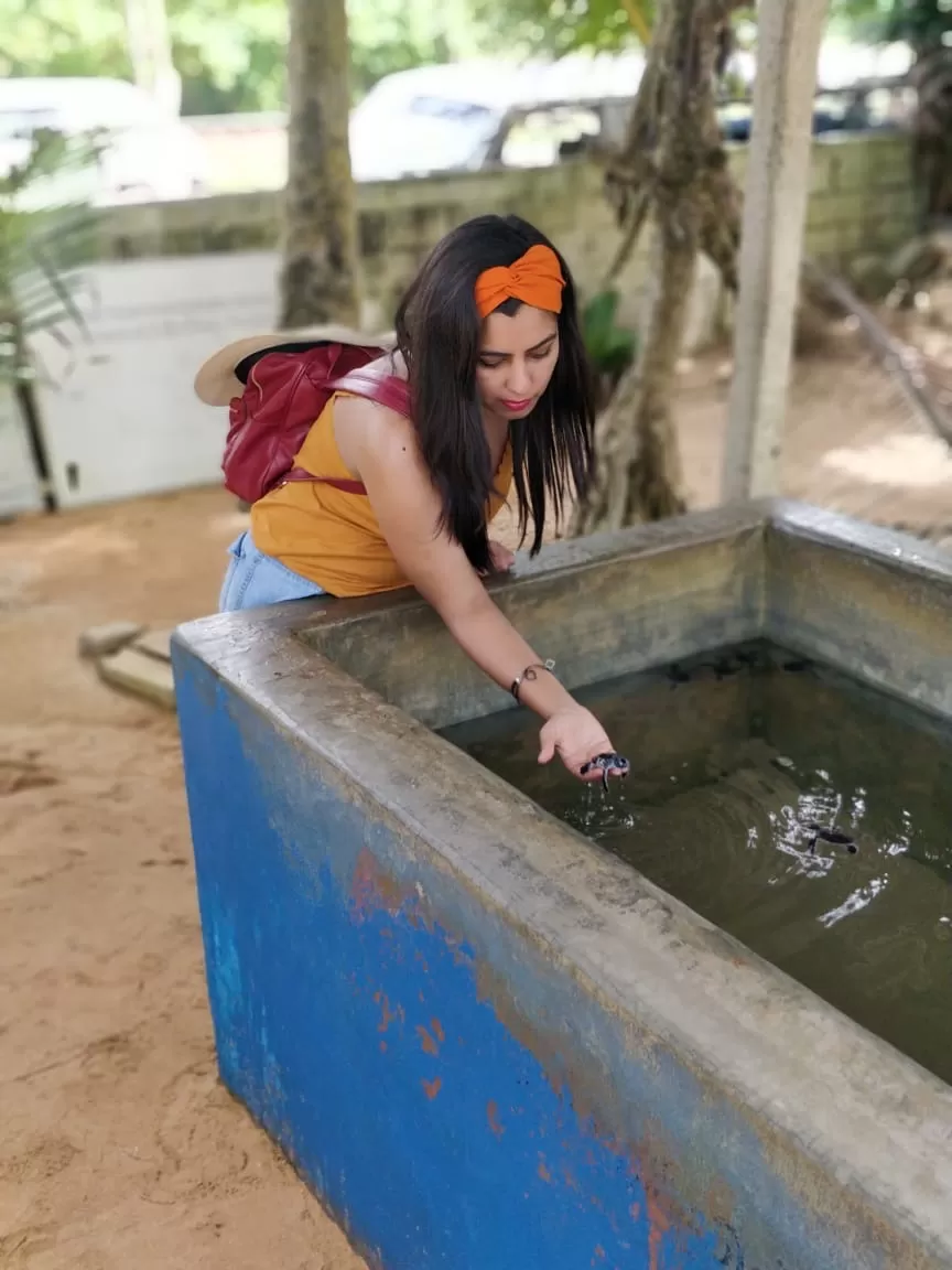 Photo of Kosgoda Sea Turtle Conservation Project, A2, Kosgoda, Sri Lanka by The Benjabi Affair