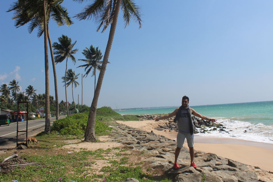 Photo of "Sri Lanka" - A Perfect 5 Day Itinerary for the Most Underrated Travel Destination in the World! by The Benjabi Affair
