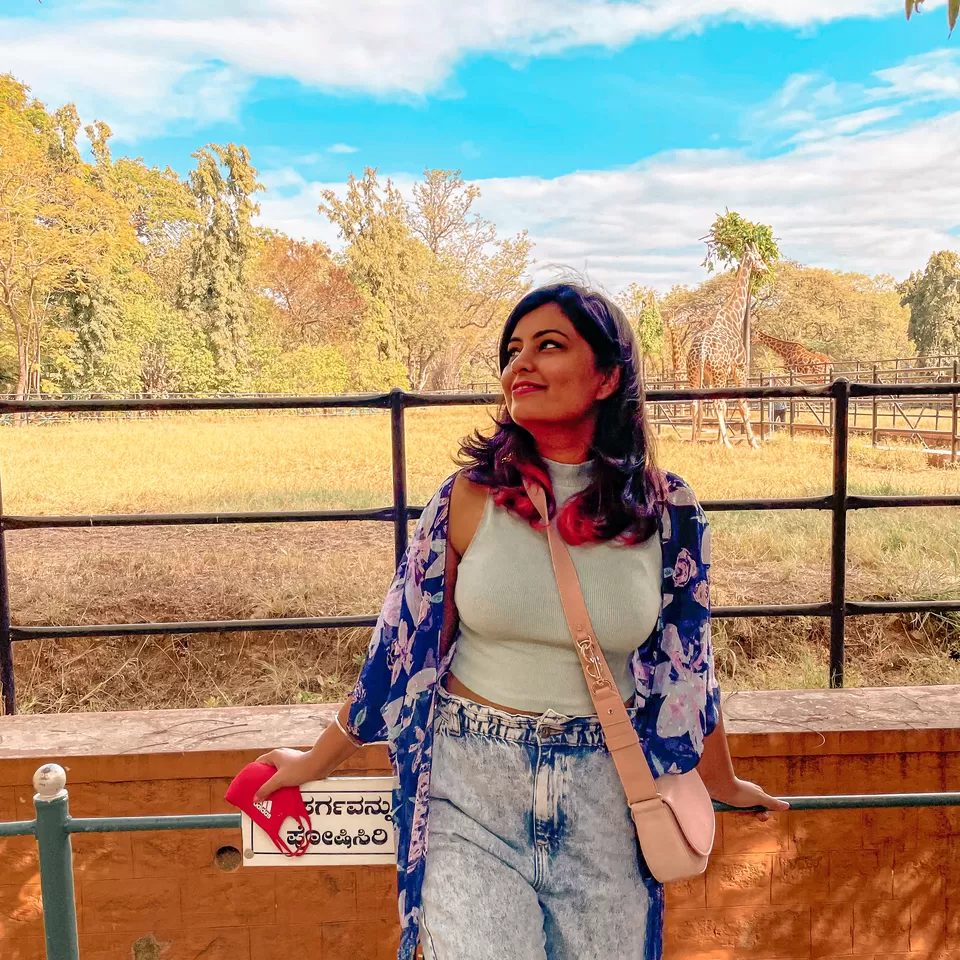 Photo of Mysore Zoo, Zoo Main Road, Indira Nagar, Ittige Gudu, Mysuru, Karnataka, India by The Benjabi Affair
