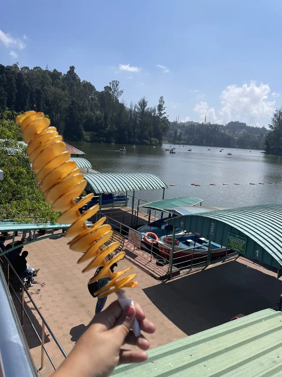 Photo of Ooty Lake, West Mere, Ooty, Tamil Nadu by The Benjabi Affair