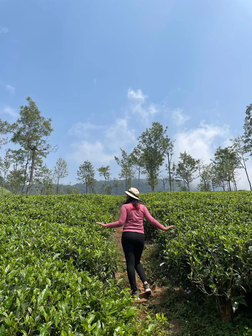 Photo of Teanest by Nature Resorts, Singara Estate Road, Alwarpet, Coonoor, Tamil Nadu, India by The Benjabi Affair