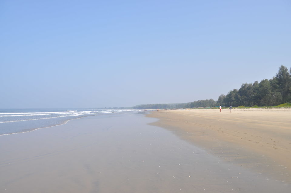Photo of Tarkarli: The Great Backwaters of Maharashtra by Monil Joshi