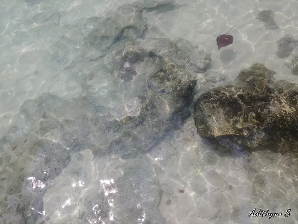 Photo of Pulau Singa Besar, Kedah, Malaysia by adithyan sivaraman