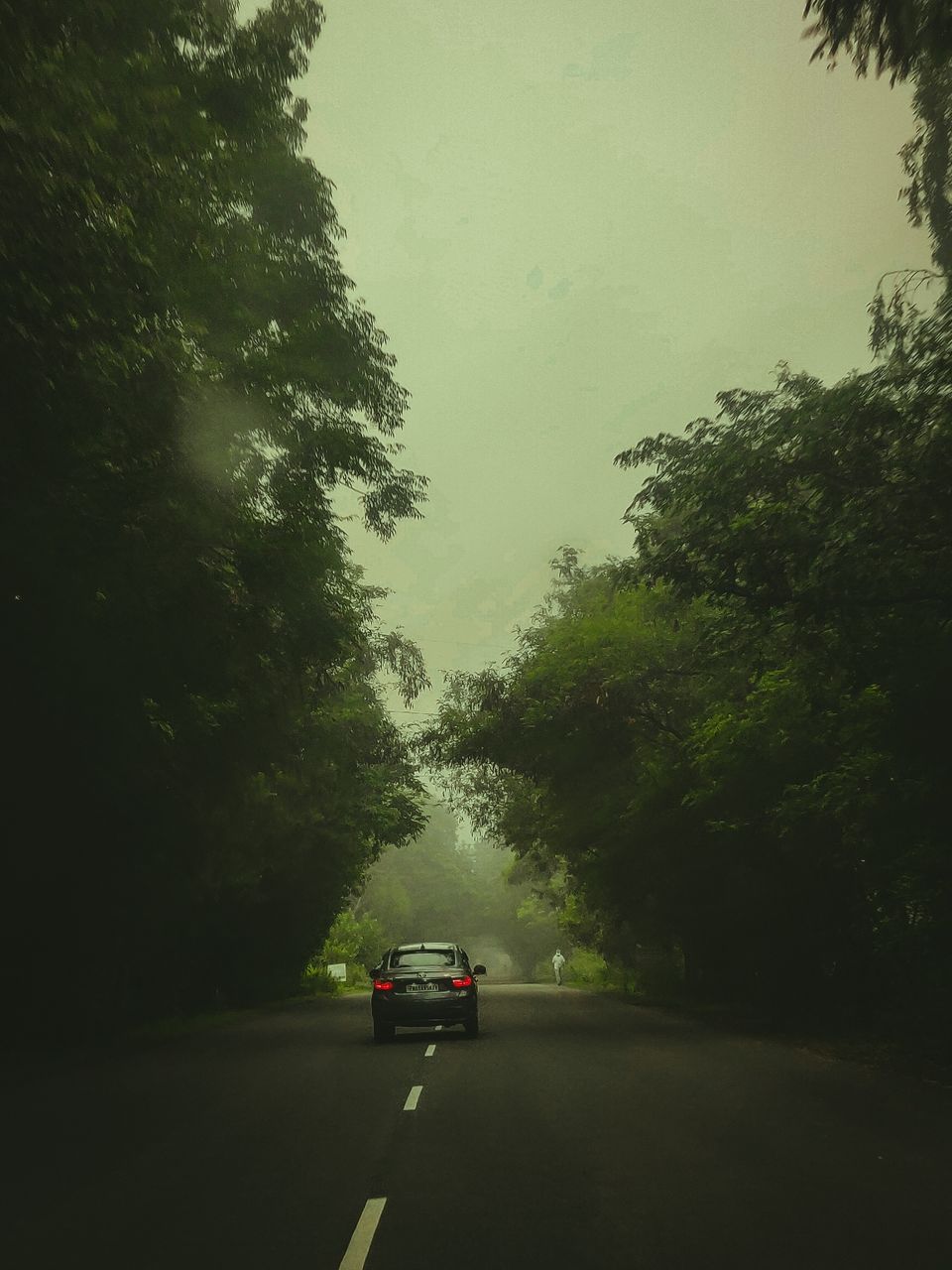 Photo of A walk to remember by Gurjeet Singh (cameraa_wala)