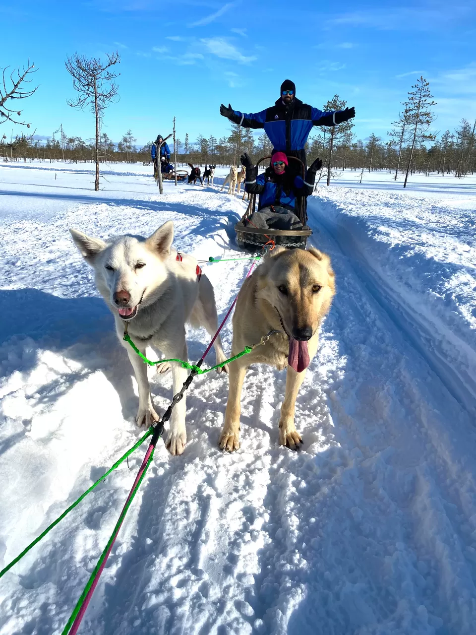 Photo of Bearhill Husky, Sinettäjärventie, Rovaniemi, Finland by Pooja Prasad