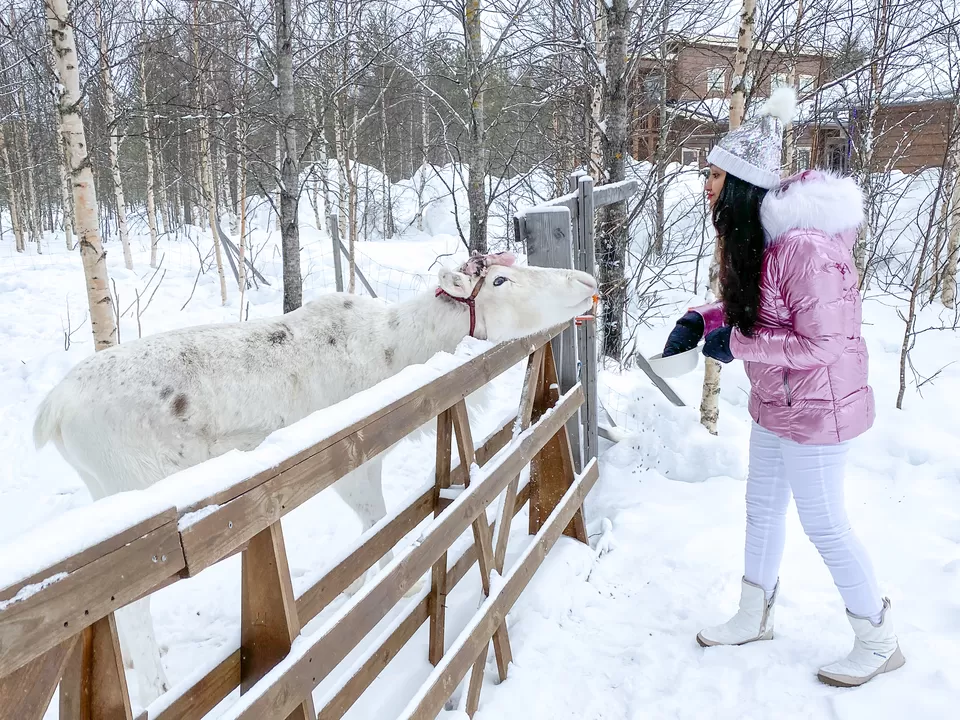 Photo of ULTIMATE LAPLAND ITINERARY - ENDLESS WINTER by Pooja Prasad