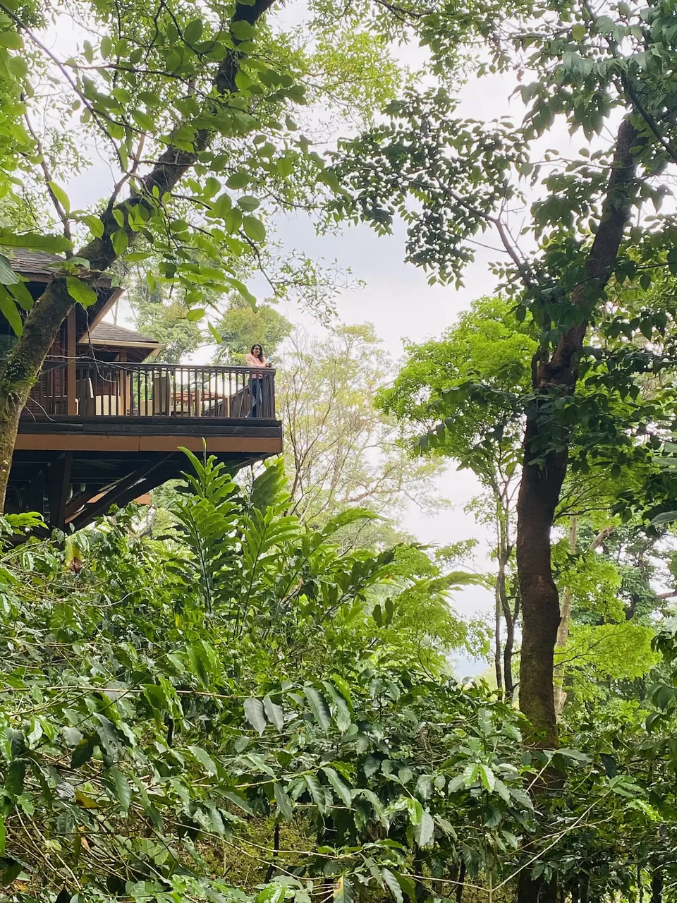 Photo of The Tamara Coorg, Yevakapadi, Karnataka, India by Tanisha Mundra