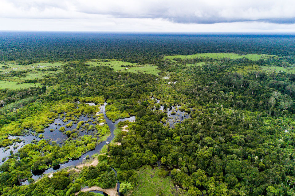 Photo of Indonesia to Get a New Capital City. Find Out Which, Why and Where Below! 3/4 by Tanisha Mundra