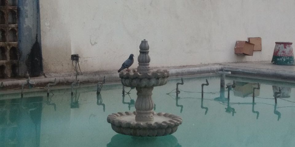 Photo of Pinjore Gardens or Yadavindra Gardens, Pinjore 3/12 by LALIT koundaal