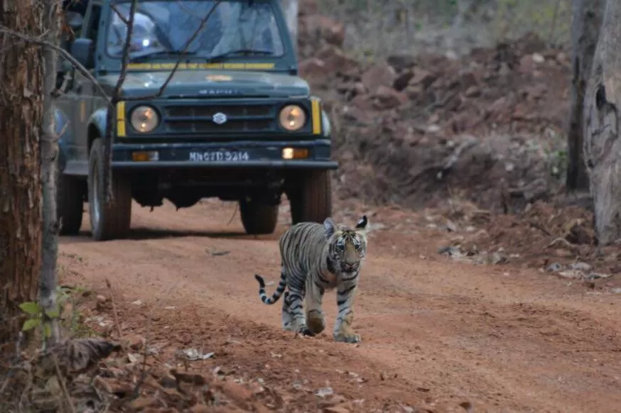 Photo of Chandrapur, Maharashtra, India by Tadoba Andhari National Park