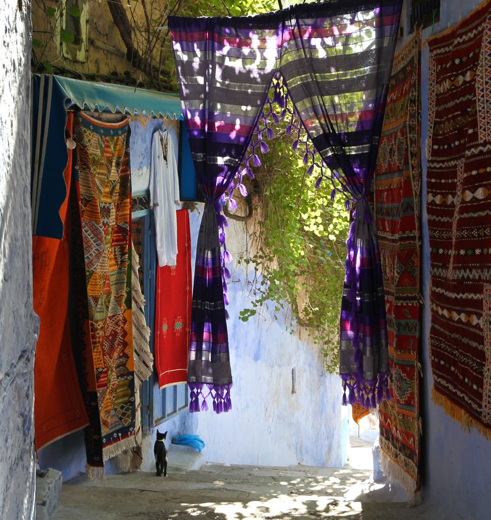 Photo of Making a Donkey of Yourself in Chefchaouen, Morocco 4/29 by Gail Palethorpe