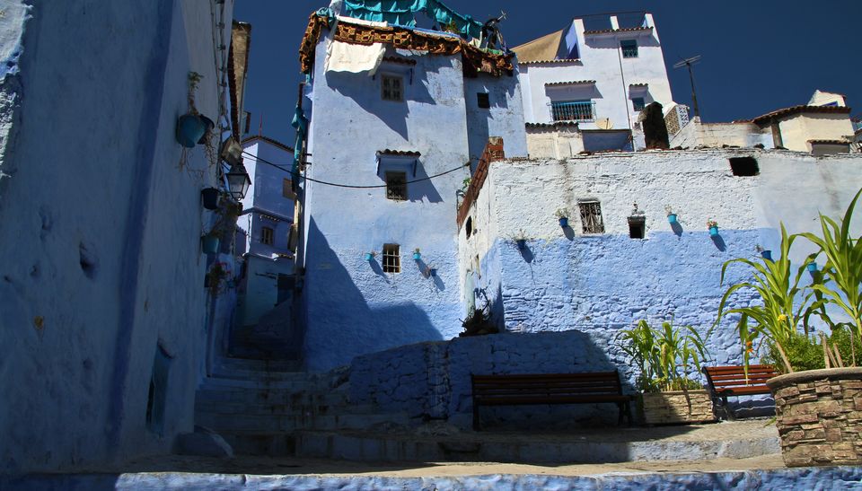 Photo of Making a Donkey of Yourself in Chefchaouen, Morocco 10/29 by Gail Palethorpe
