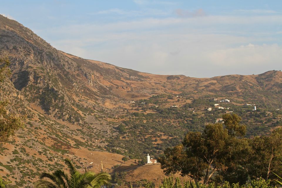 Photo of Making a Donkey of Yourself in Chefchaouen, Morocco 16/29 by Gail Palethorpe