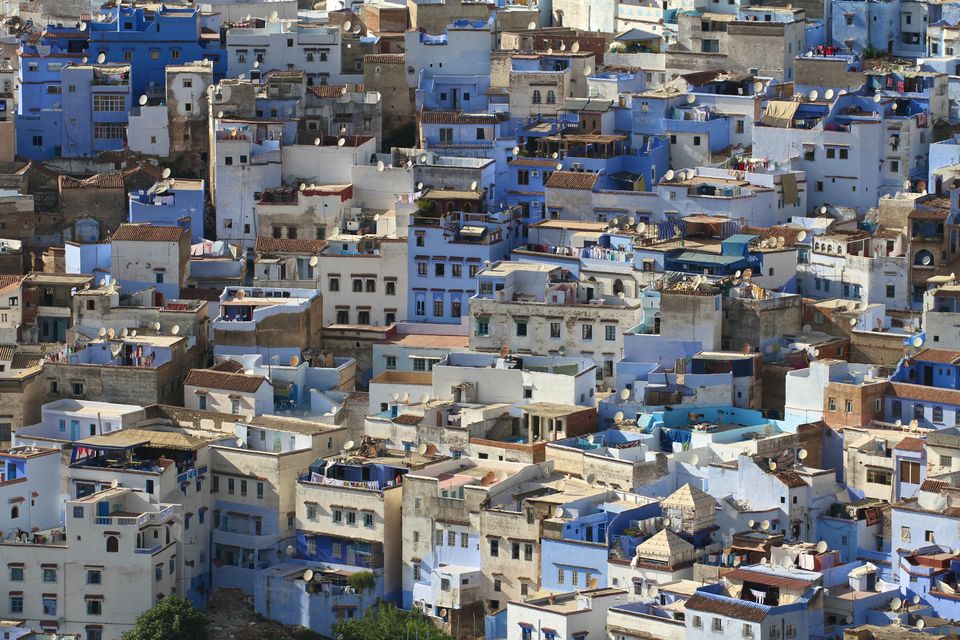 Photo of Making a Donkey of Yourself in Chefchaouen, Morocco 17/29 by Gail Palethorpe