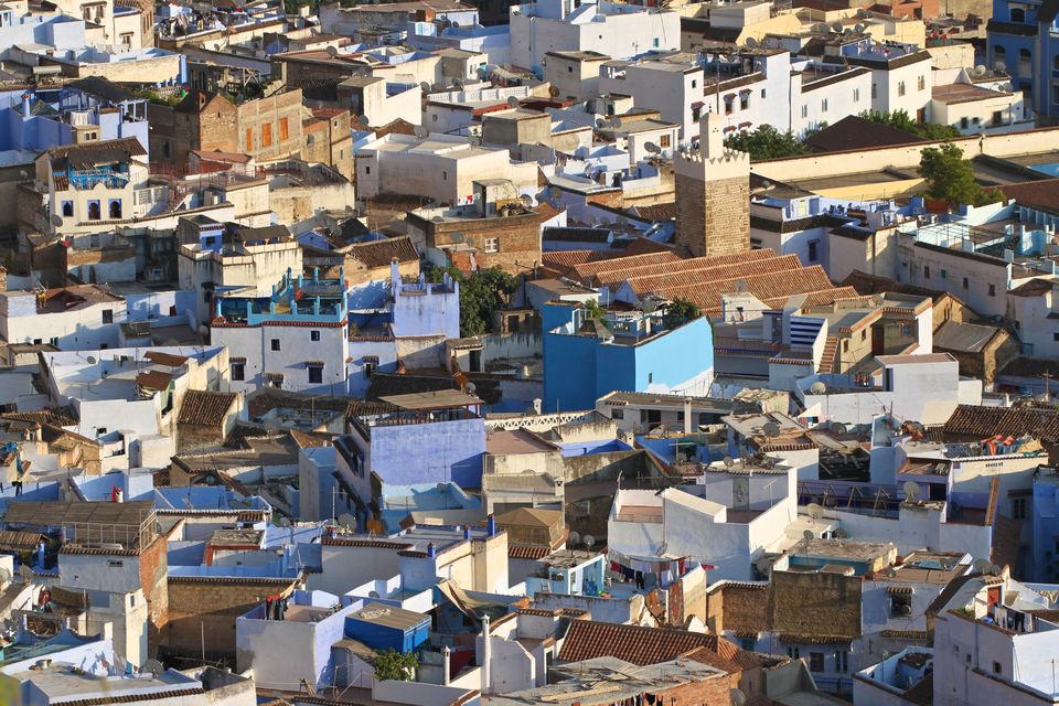 Photo of Making a Donkey of Yourself in Chefchaouen, Morocco 18/29 by Gail Palethorpe