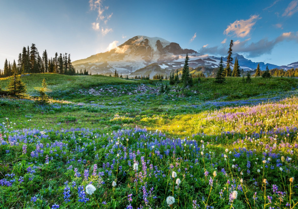 Photo of Exclusive Tips to Find the Ultimate Solitude in USA National Parks by MD ALAMIN KAZI