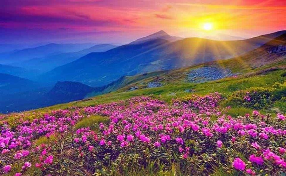 Photo of Valley of flowers trek safety guidelines 1/2 by infocaptain