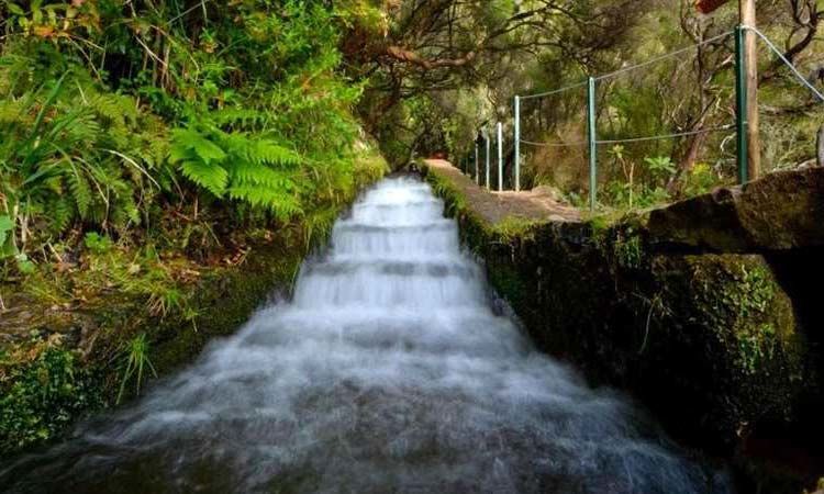 Photo of Ah, Madeira! 4/6 by TinaGeller