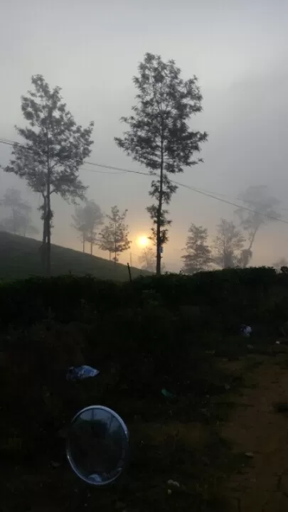 Photo of Ooty, Tamil Nadu, India by Shoaib Mohammed