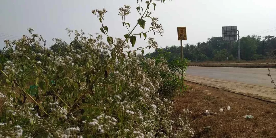 Photo of Margao, Goa, India by Priya Singhania