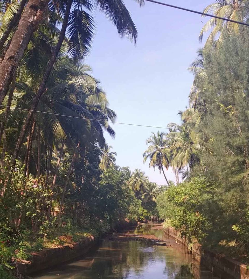 Photo of Palolem, Canacona, Goa, India by Priya Singhania