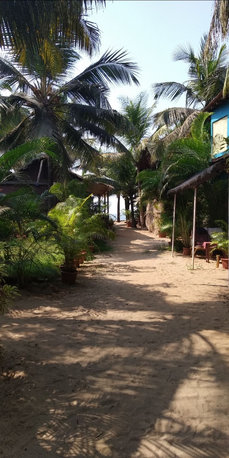 Photo of Cola Beach, Cola, Goa, India by Priya Singhania