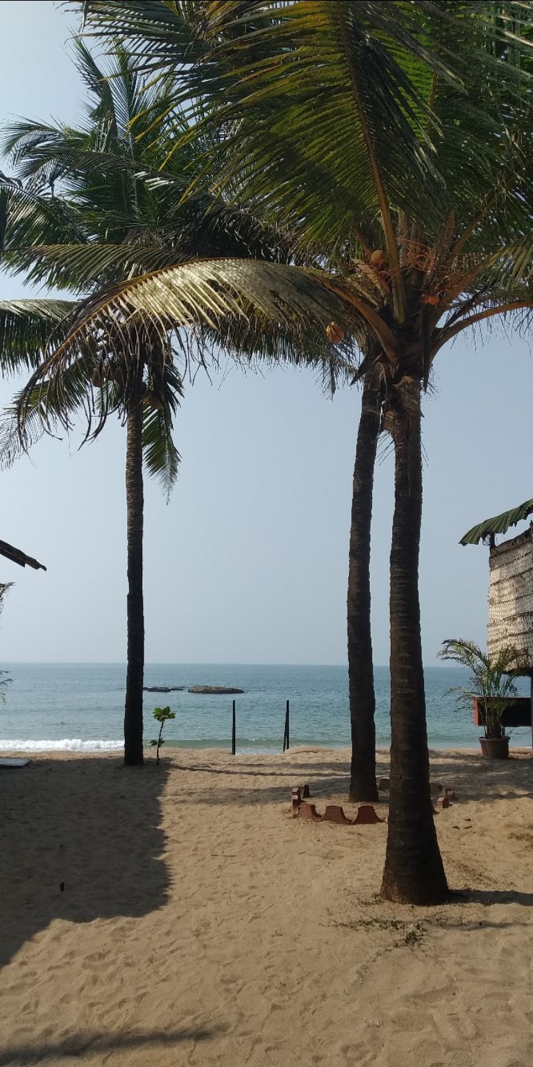 Photo of Cola Beach, Cola, Goa, India by Priya Singhania