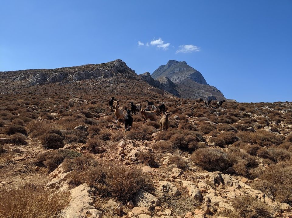 Photo of Give Balos a Chance! Out of the Ordinary Destination by Woolgathering Wonders