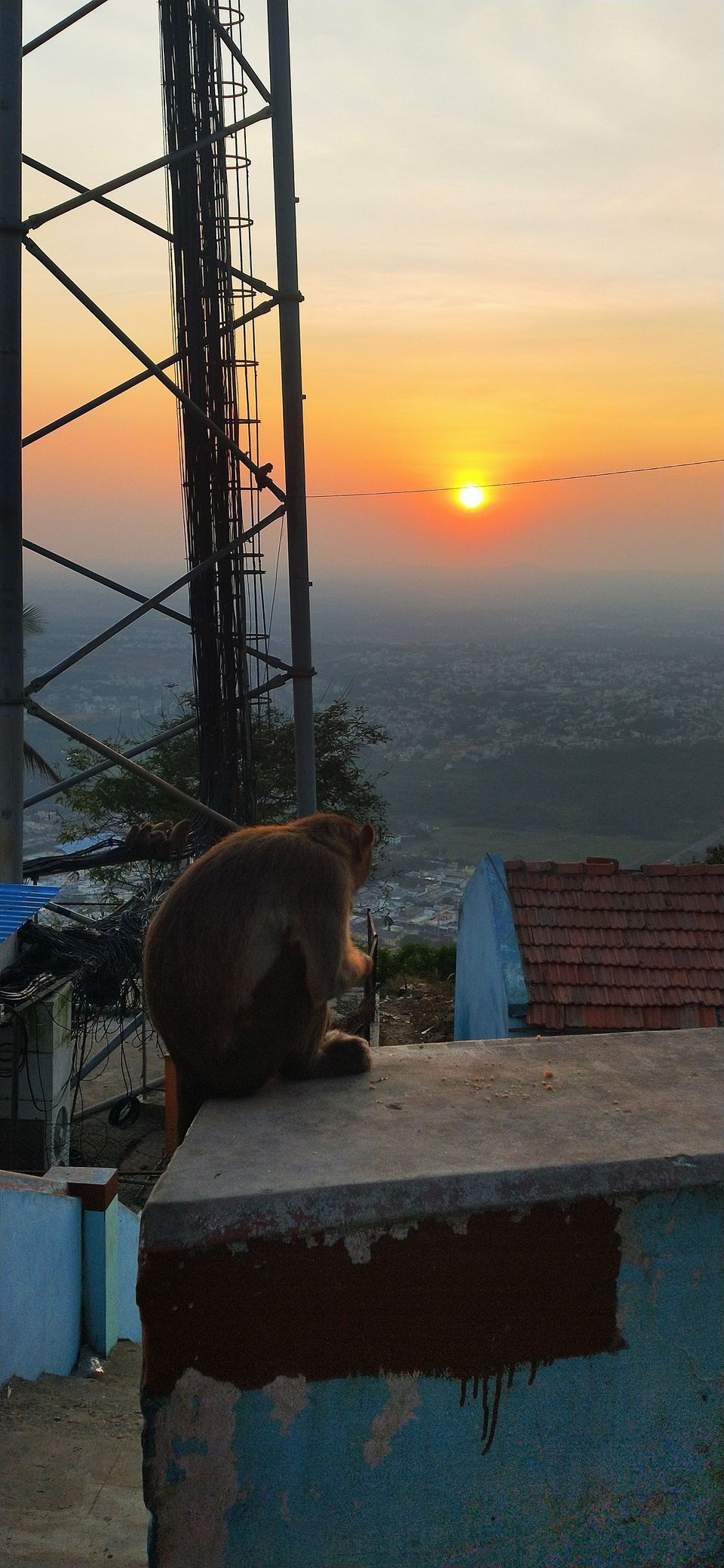 Photo of Mysore, Karnataka, India by Rishabh Dey
