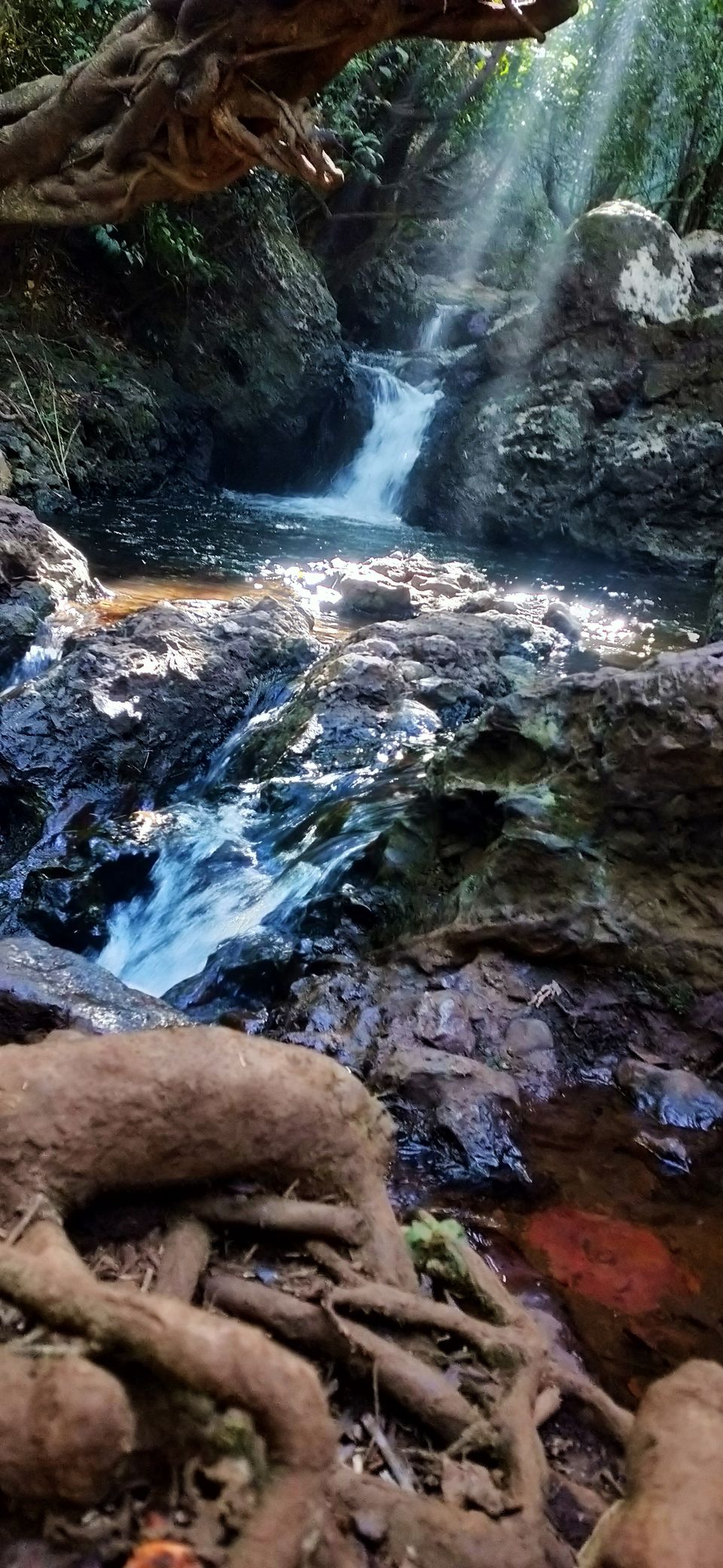 Photo of Chikmagalur, Karnataka, India by Rishabh Dey