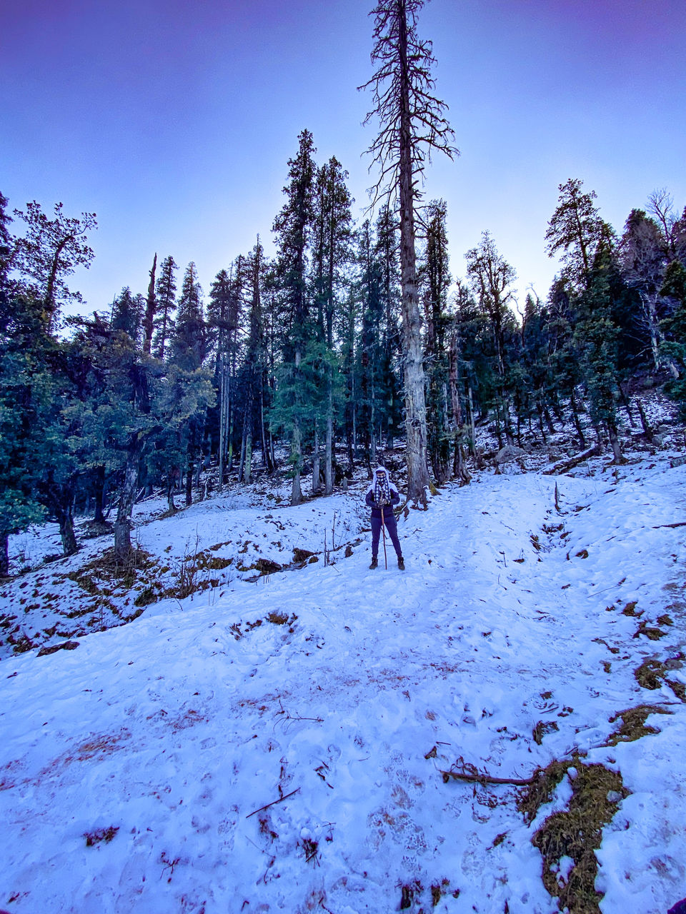 Photo of Kedarkantha Base Camp, Singtur Range, Uttarakhand, India by Rishabh Dey