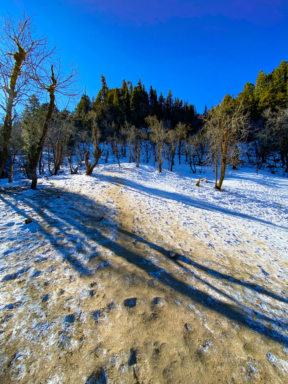 Photo of Kedarkantha Base Camp, Singtur Range, Uttarakhand, India by Rishabh Dey