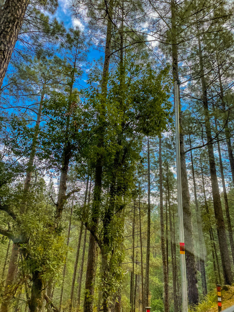 Photo of Dehradun, Uttarakhand, India by Rishabh Dey