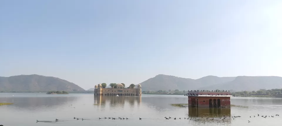 Photo of Jal Mahal by Spoorthy Kotla