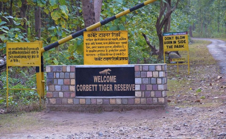 Photo of Trip of Jim Corbett National Park Ramnagar (Nainital) Uttrakhand. 1/25 by albert martin