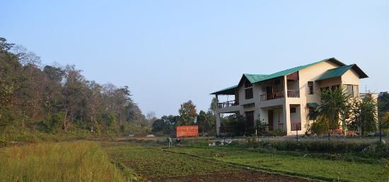 Photo of Trip of Jim Corbett National Park Ramnagar (Nainital) Uttrakhand. 13/25 by albert martin