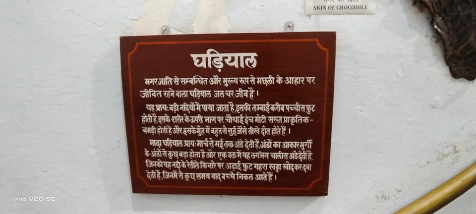 Photo of KoTa GarH Palace #travelling #rajsthan #solo by Harsh Kumar