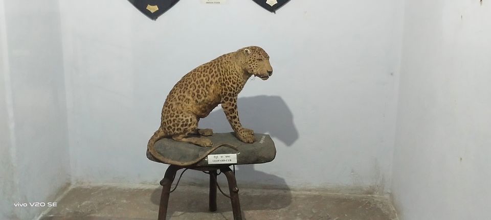Photo of KoTa GarH Palace #travelling #rajsthan #solo by Harsh Kumar